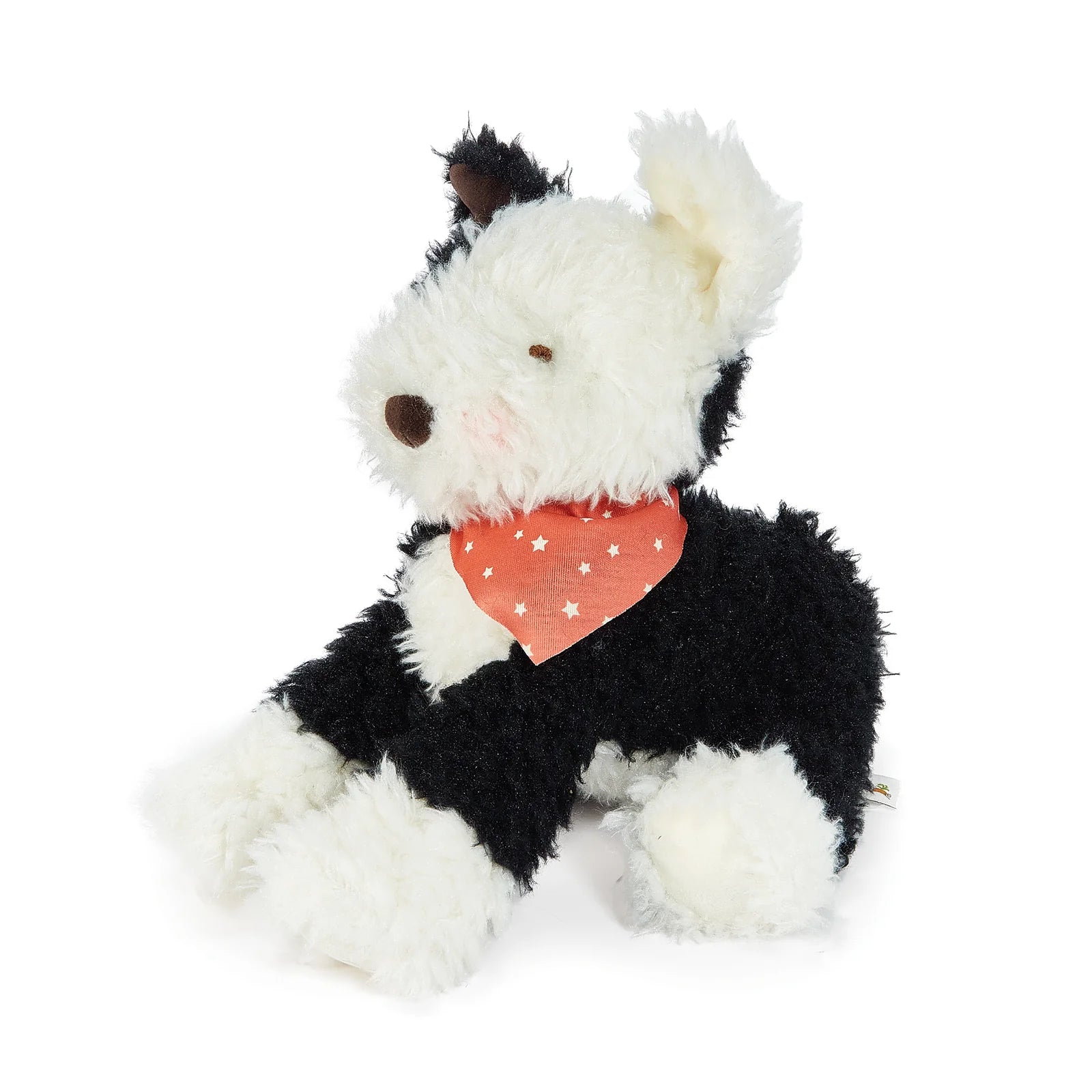 Pepper the highland dog