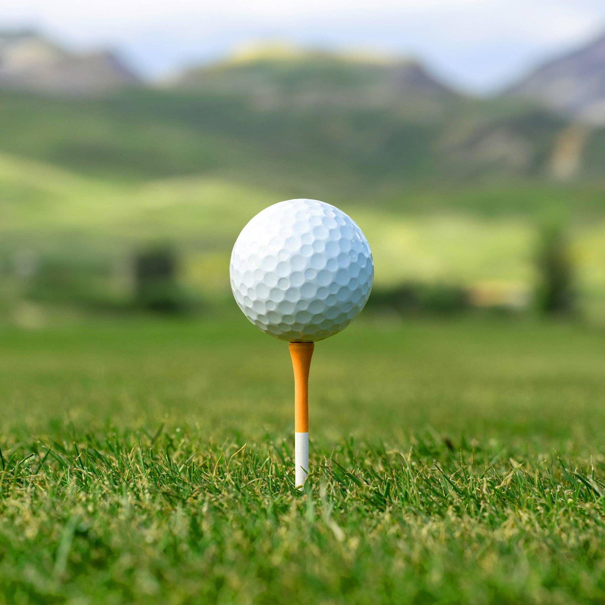 Royal Reds, 50 Golf Tees 2¾