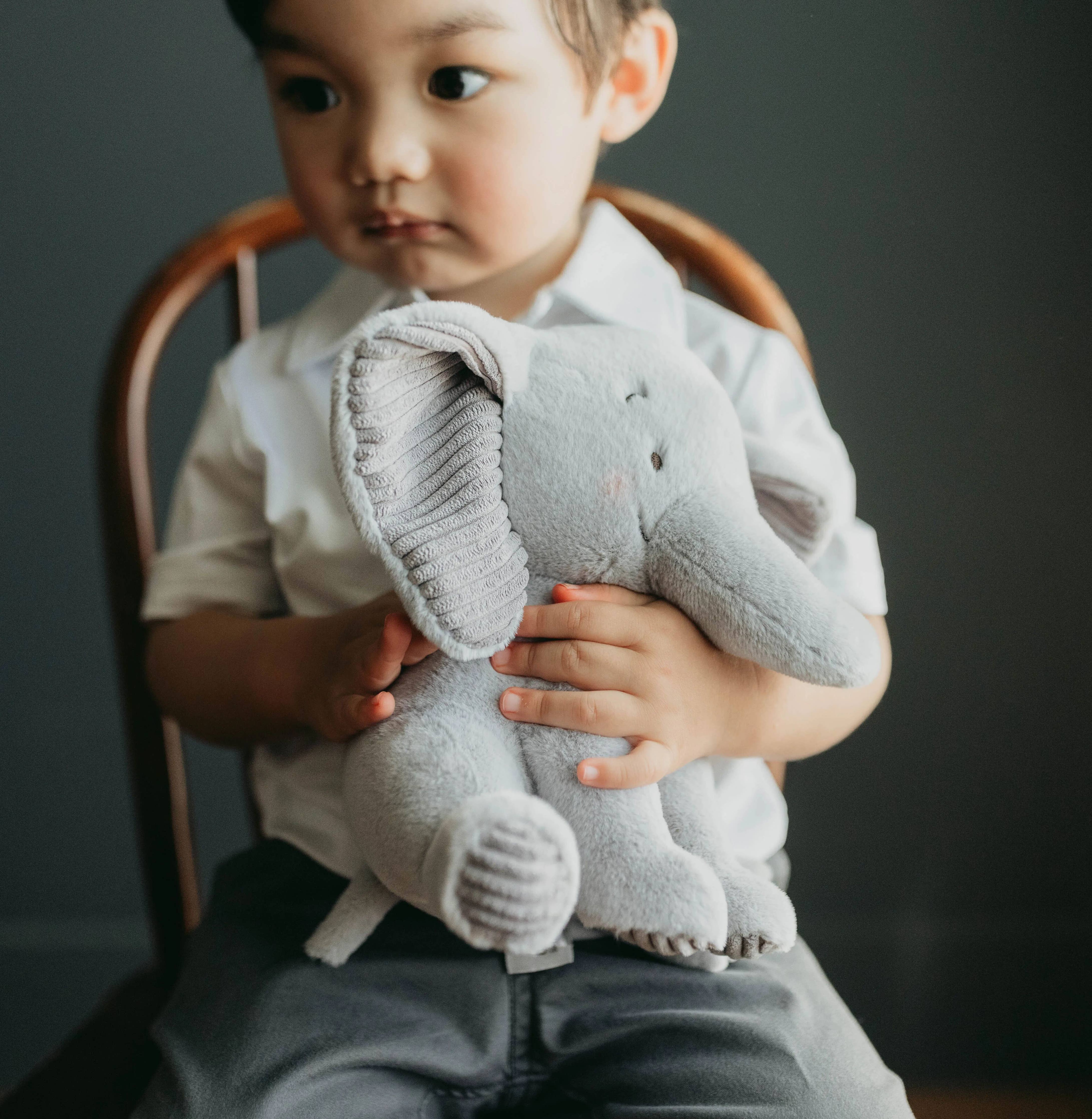 Little Penny the Elephant