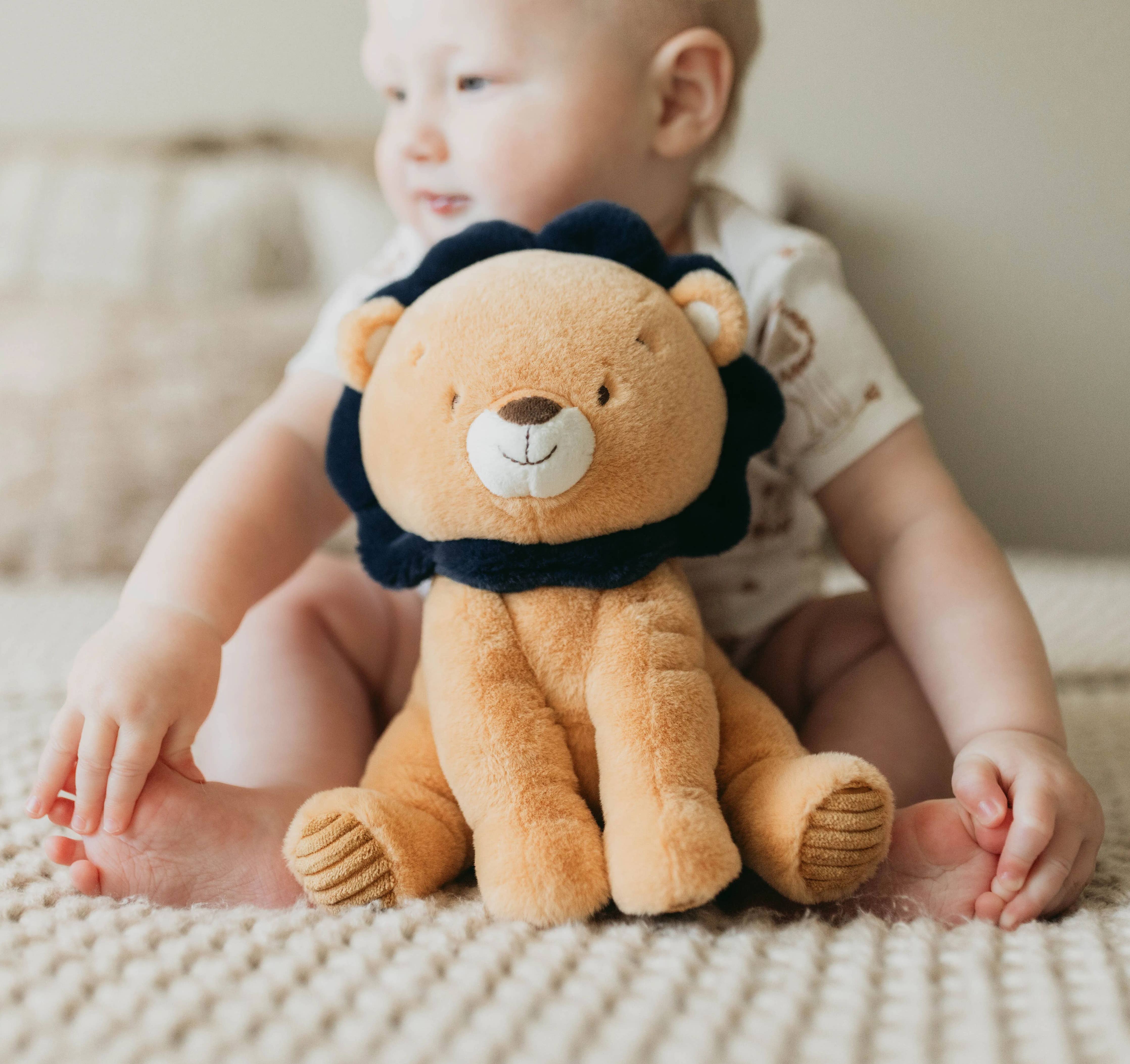 Little Lenny the Lion