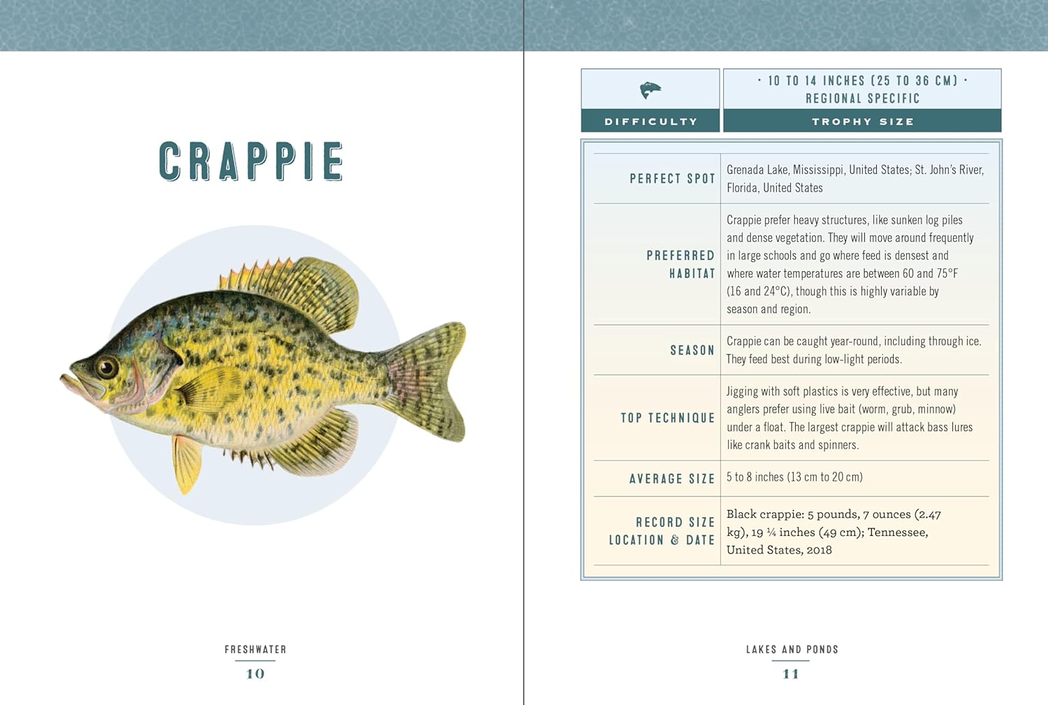 Hooked: Legendary Fresh and Saltwater Fish