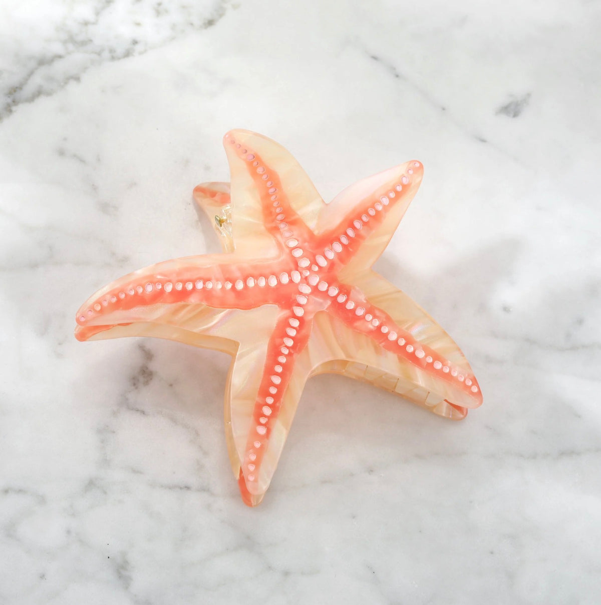 Starfish hairclip, Large