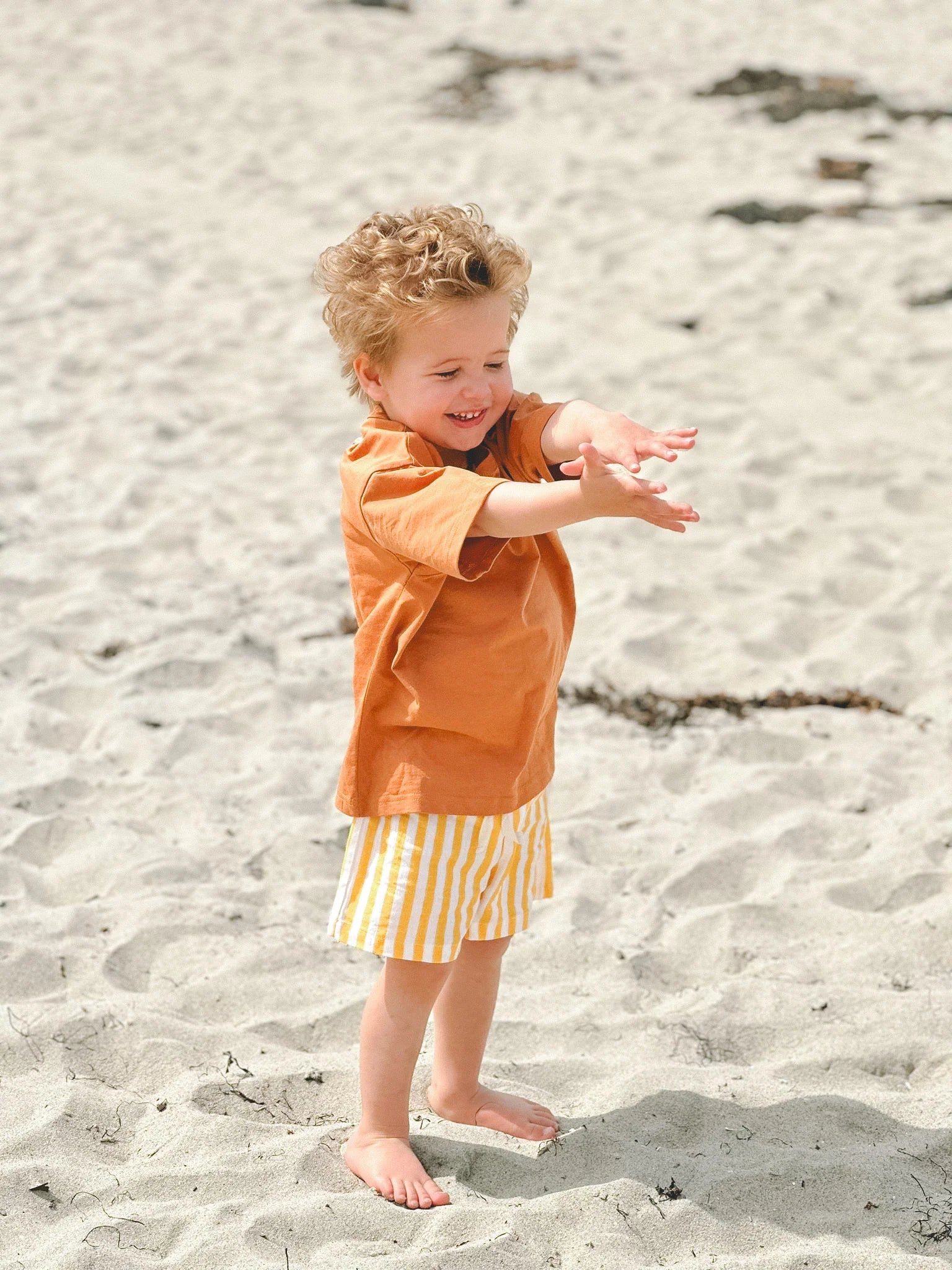 Linen Thin  Striped Shorts