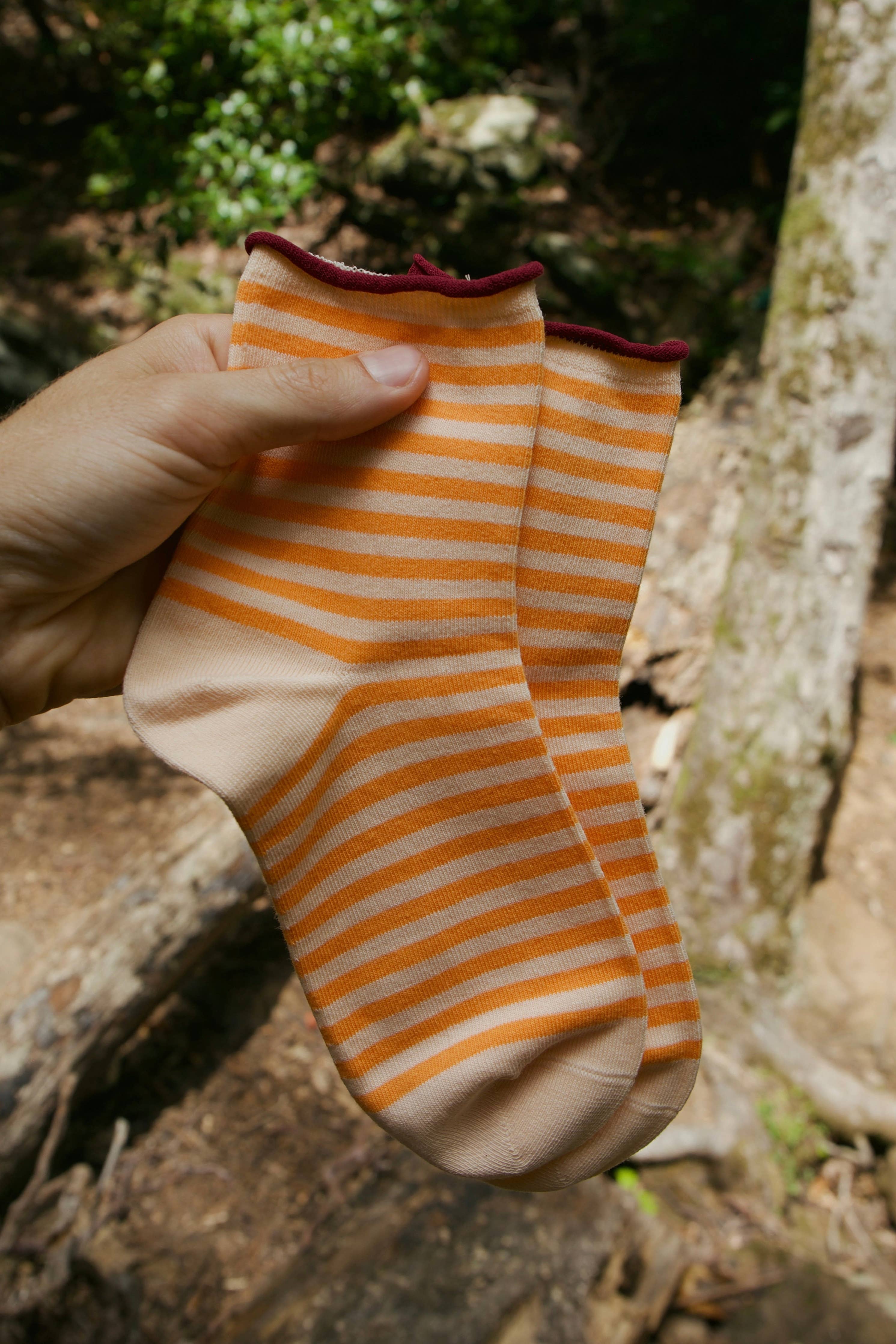 Canyon glow stripe socks