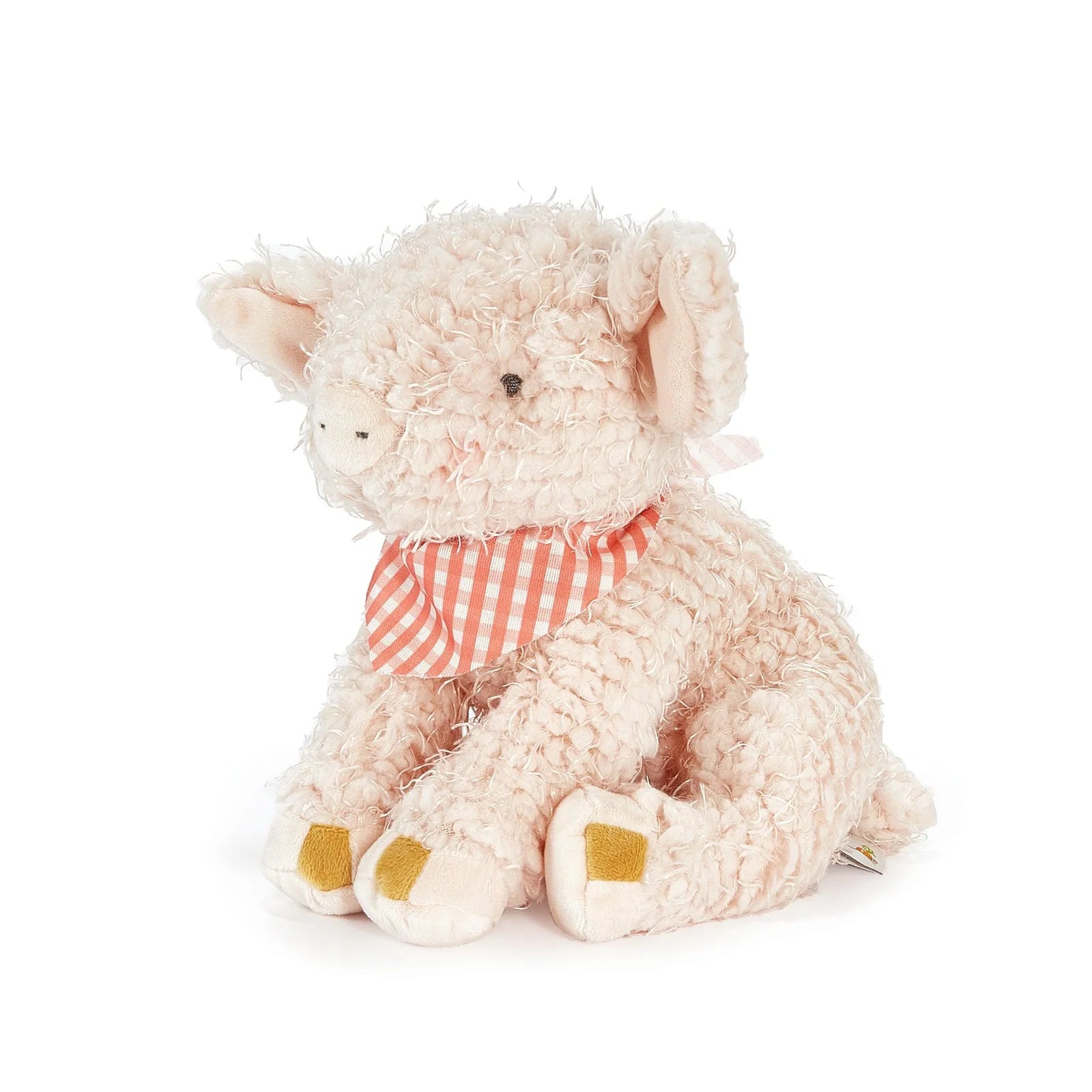 Hammie the pig