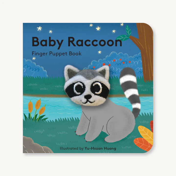 Baby Racoon