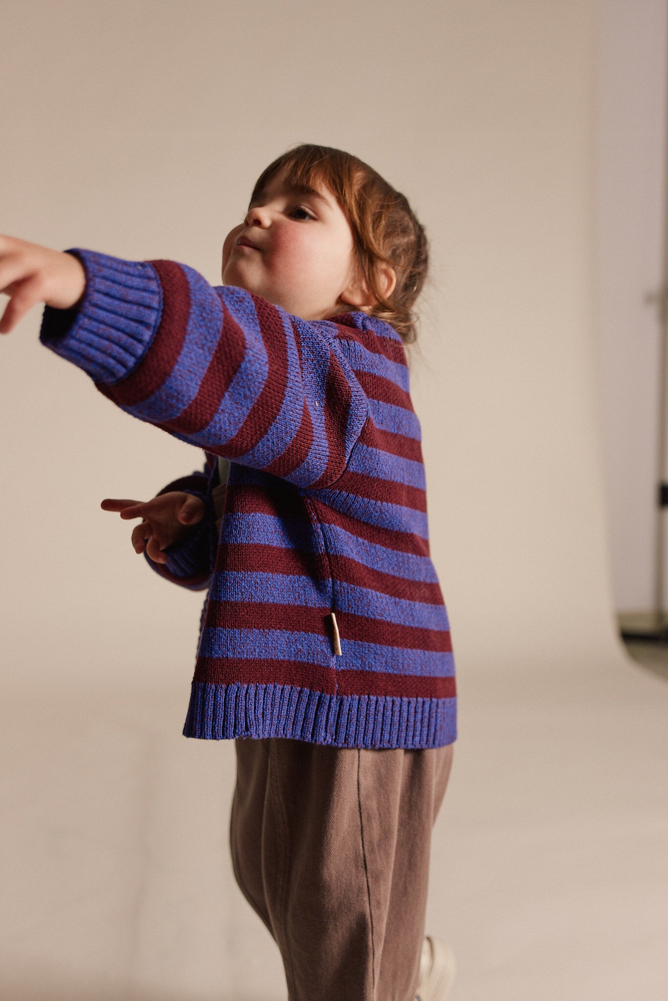 Eben Purple Stripe Cardigan