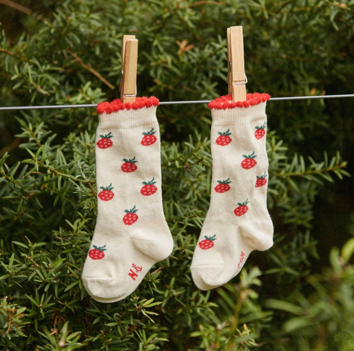 Organic Cotton Socks