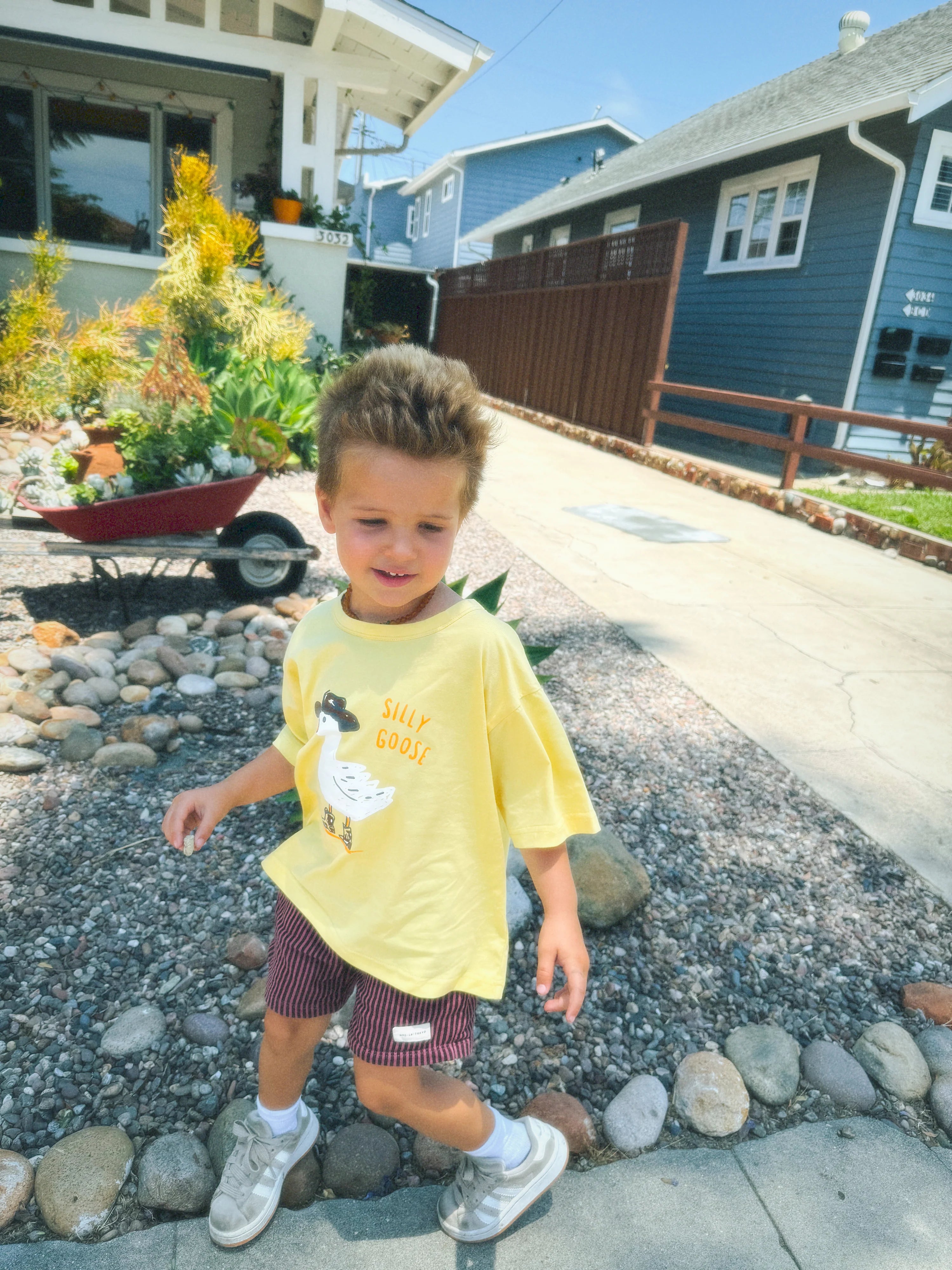 Silly Goose T-Shirt