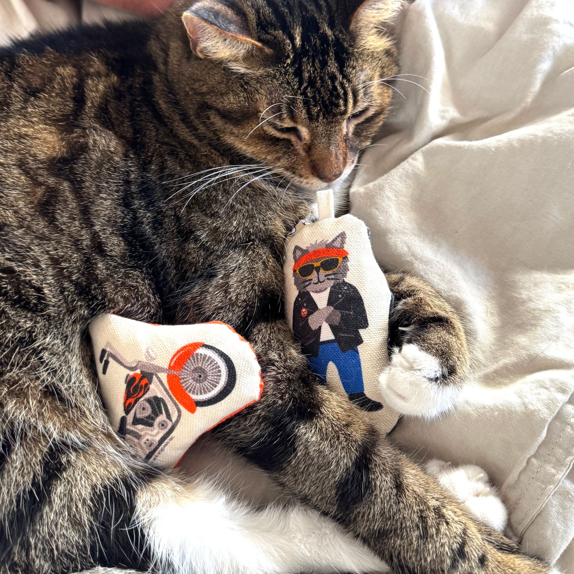 Go Kitty Go Toy Set