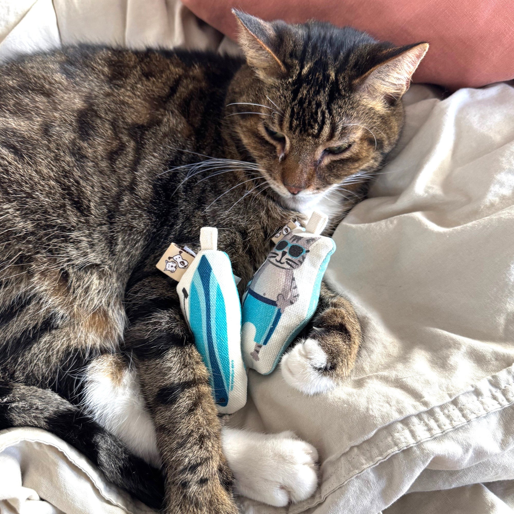 Go Kitty Go Toy Set