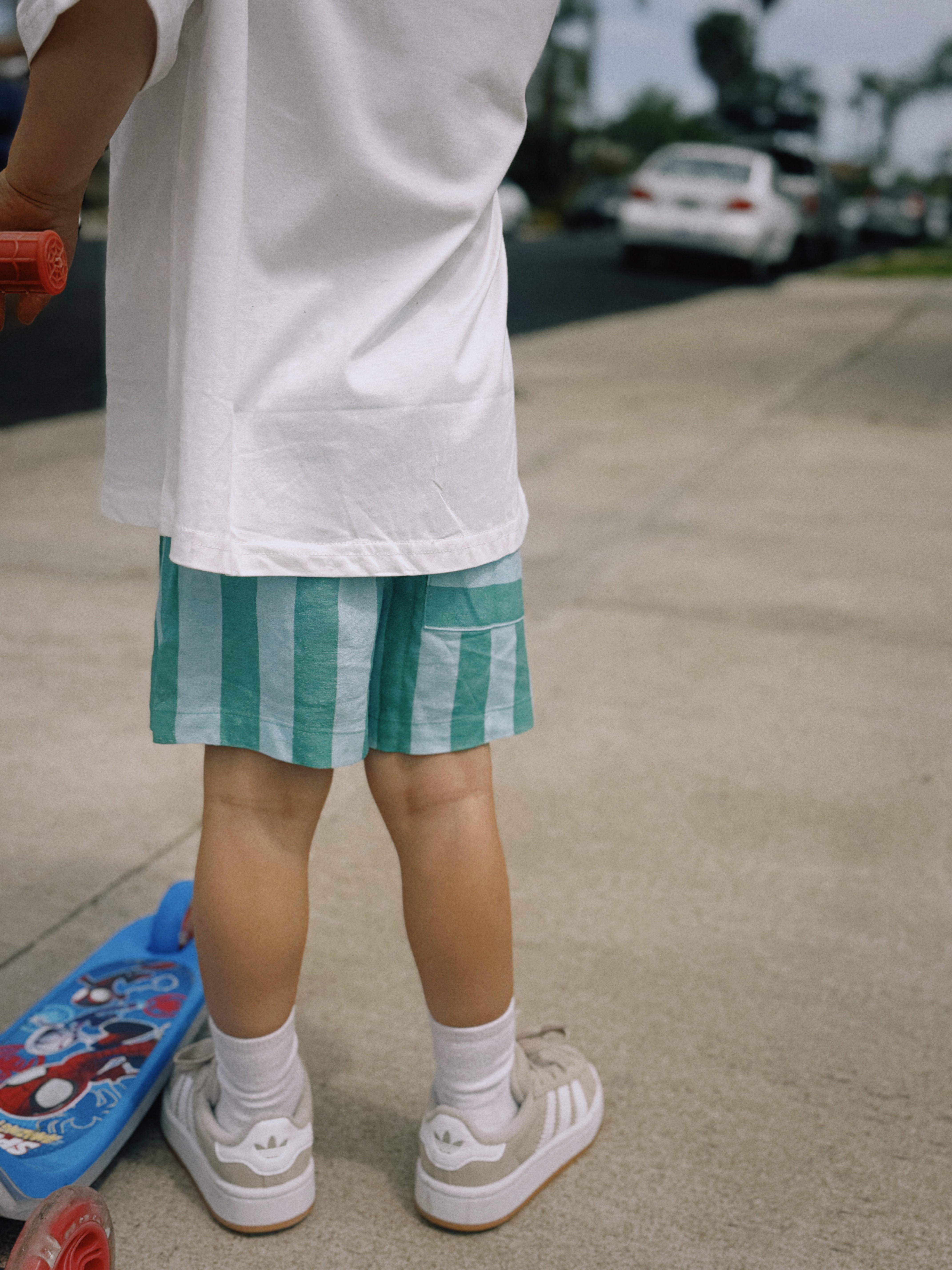 Linen Striped Shorts