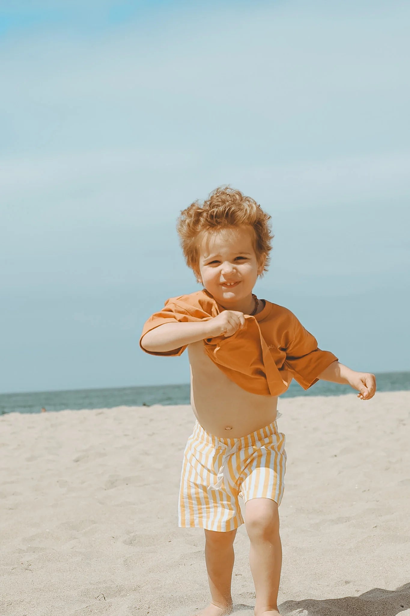 Linen Thin  Striped Shorts