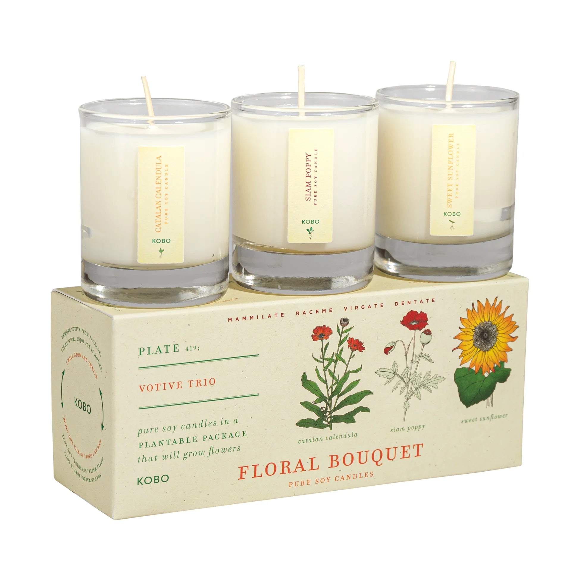 Plant the Box candle trio set