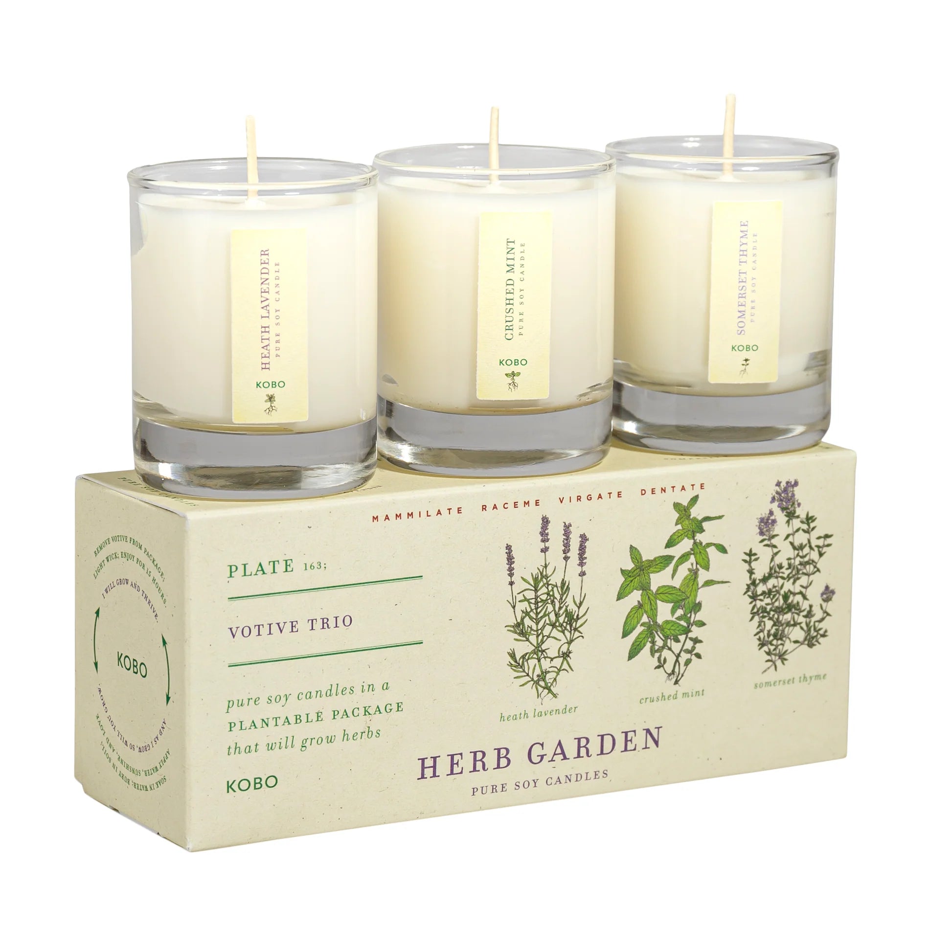 Plant the Box candle trio set