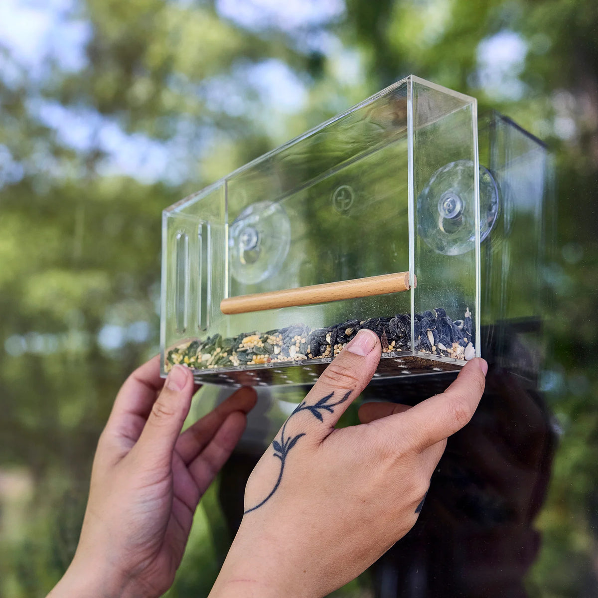 Birds on the Block Feeder - Mod Perch