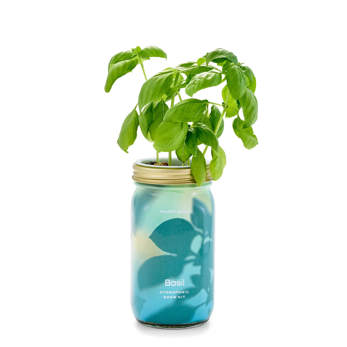 Garden Jar - Basil
