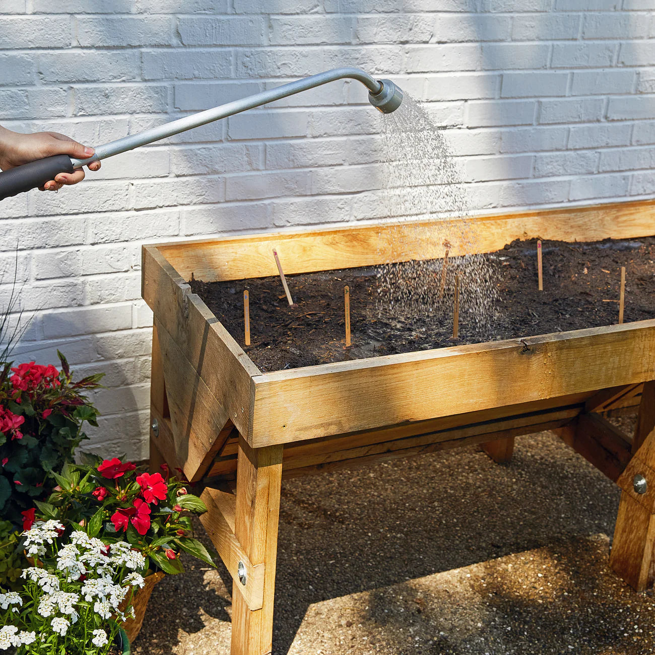 Pollinator Seed Pops