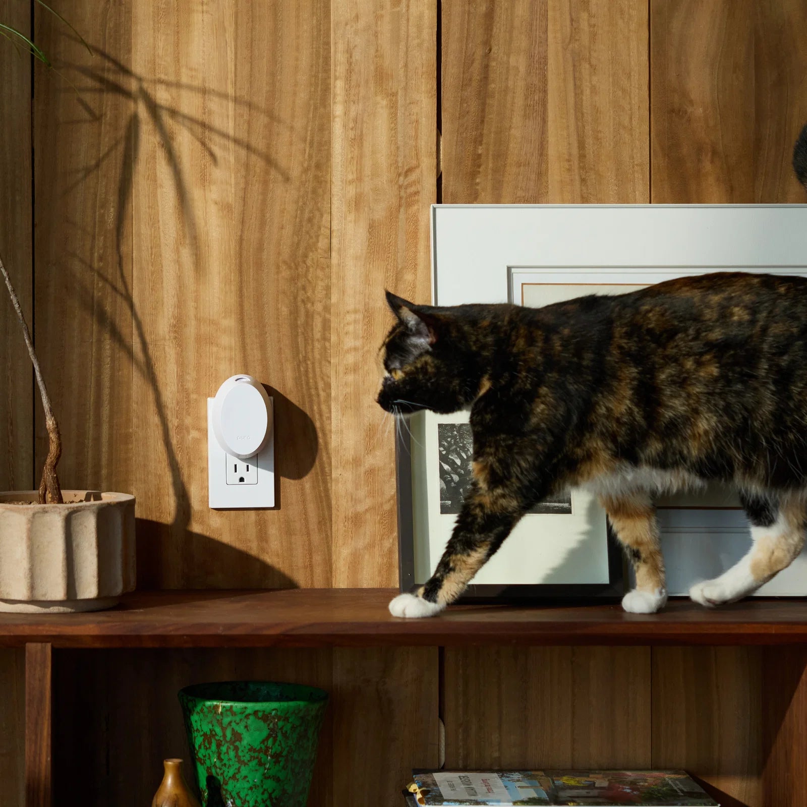 Pura Home Mini