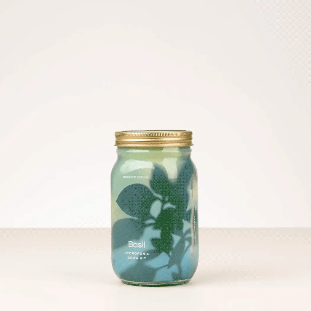Garden Jar - Basil