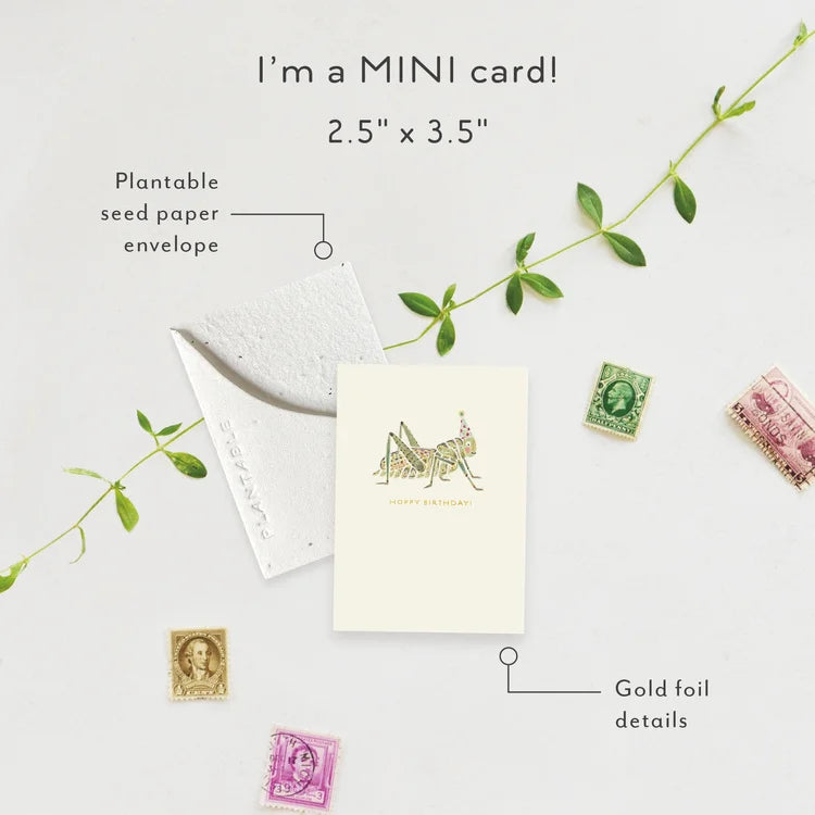 Hoppy Bday Mini Greeting Card