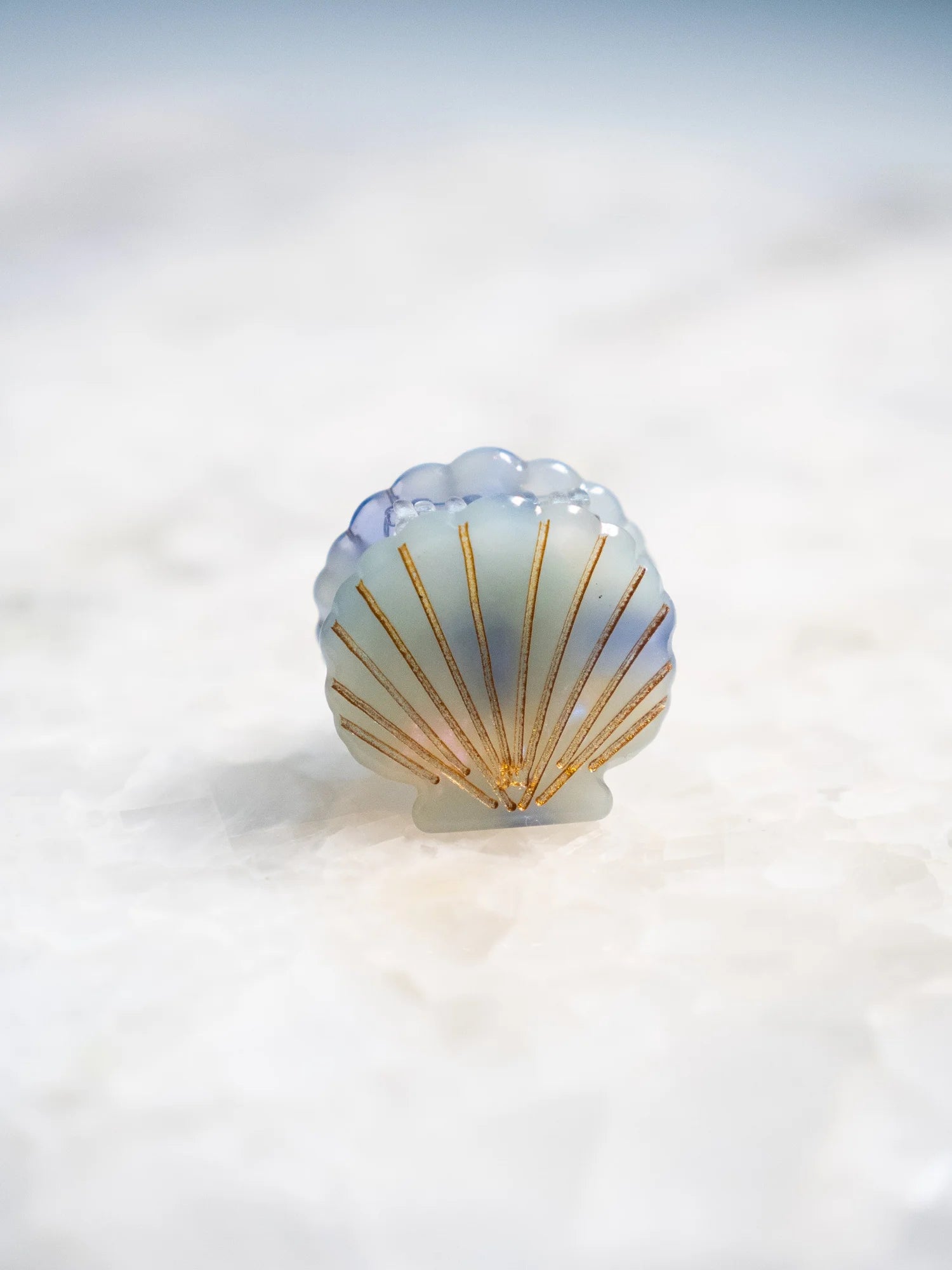 Mini Scallop clip