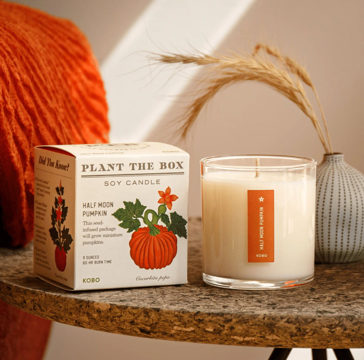 Plant the Box Candle