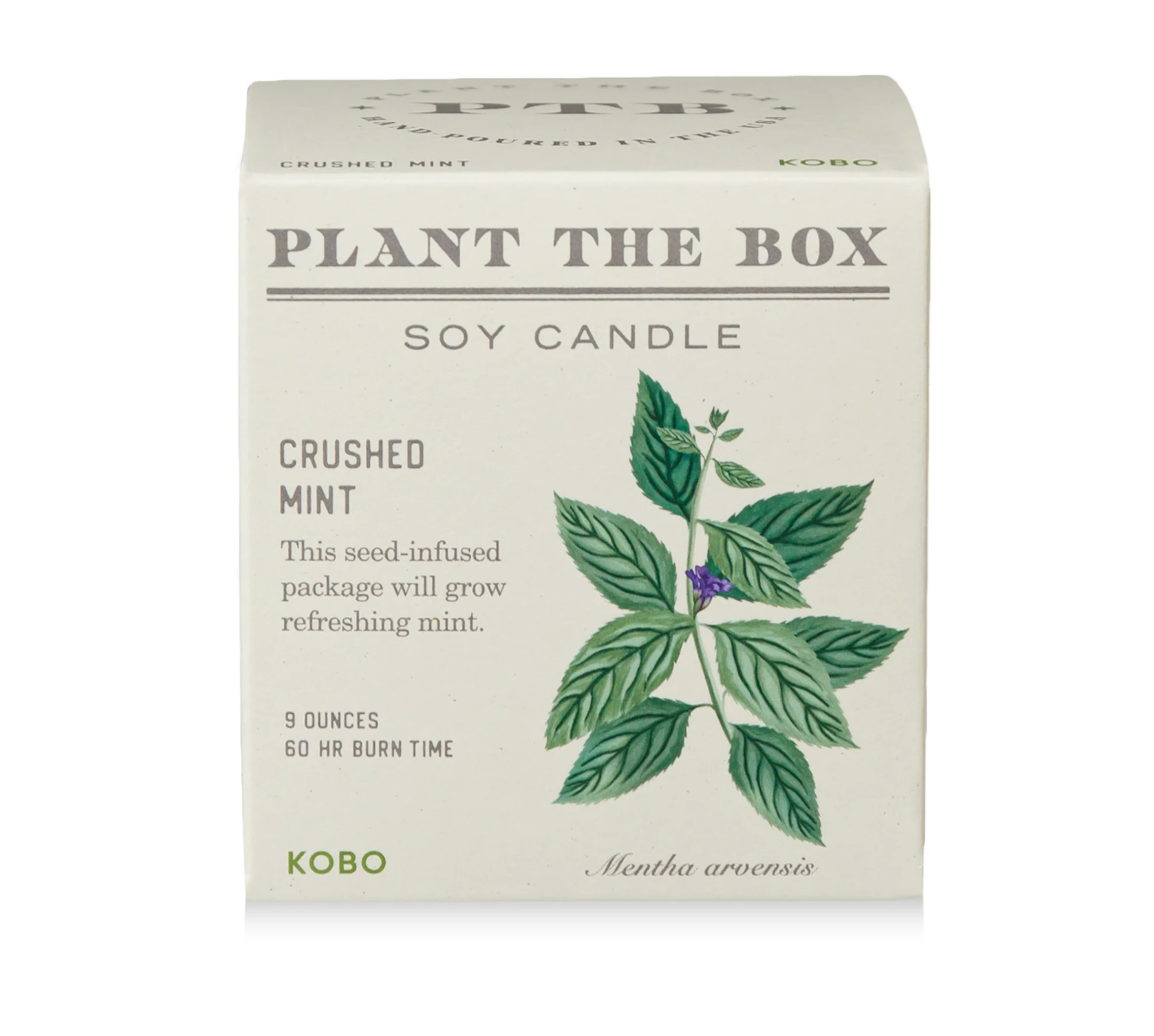 Plant the Box Candle