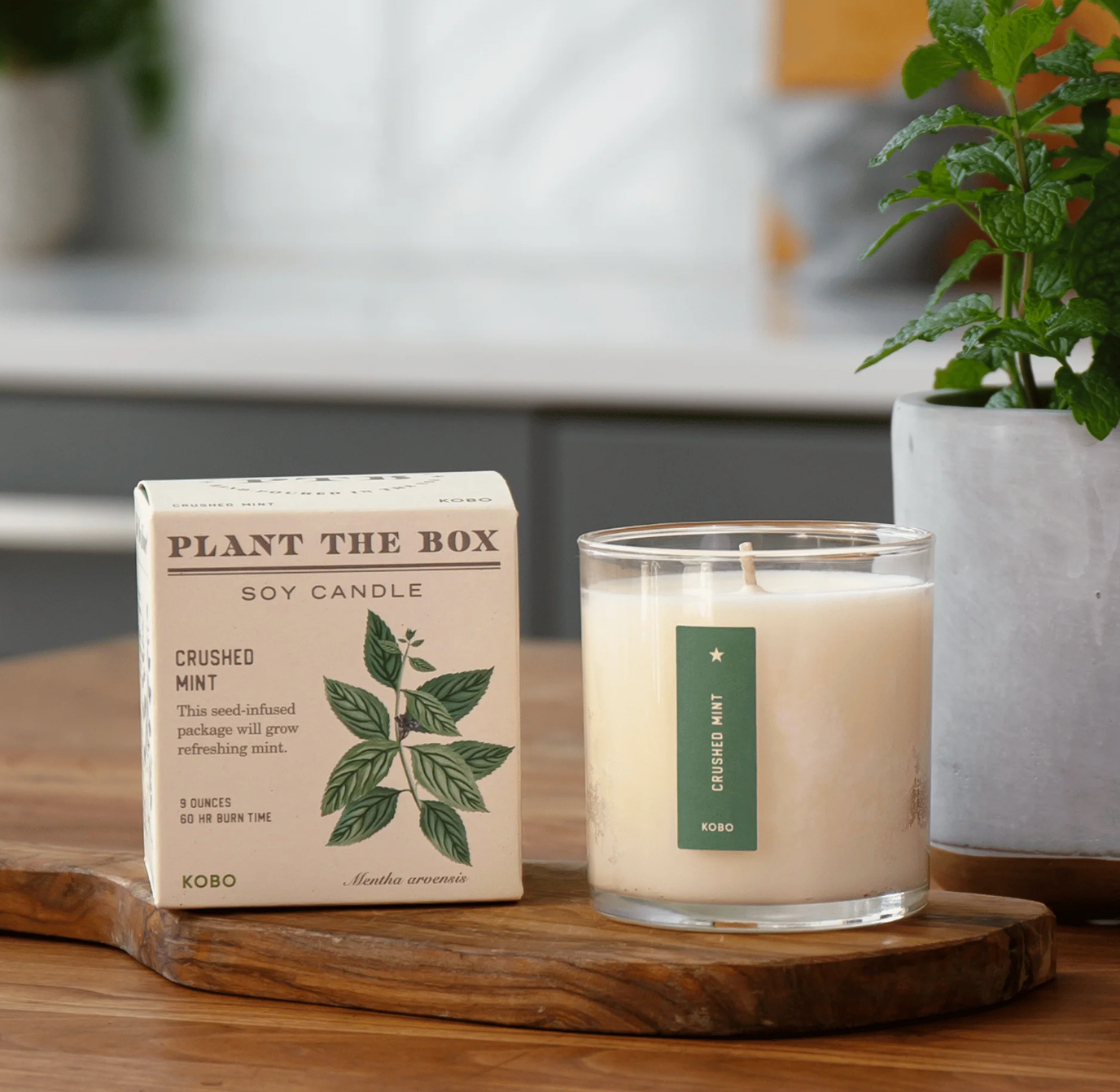 Plant the Box Candle