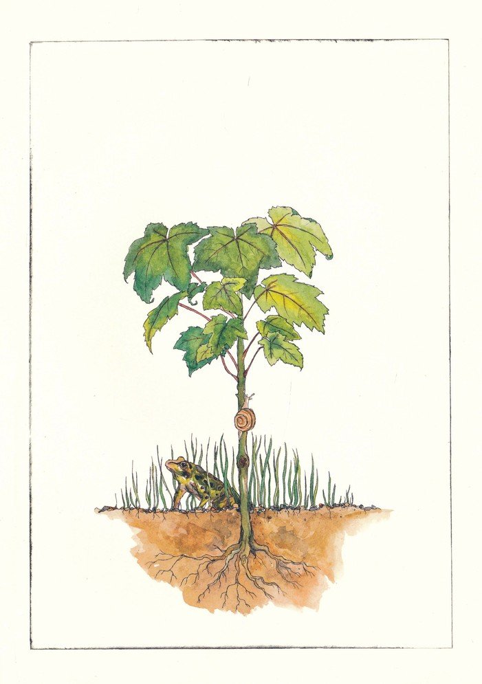 It Starts With a Seed