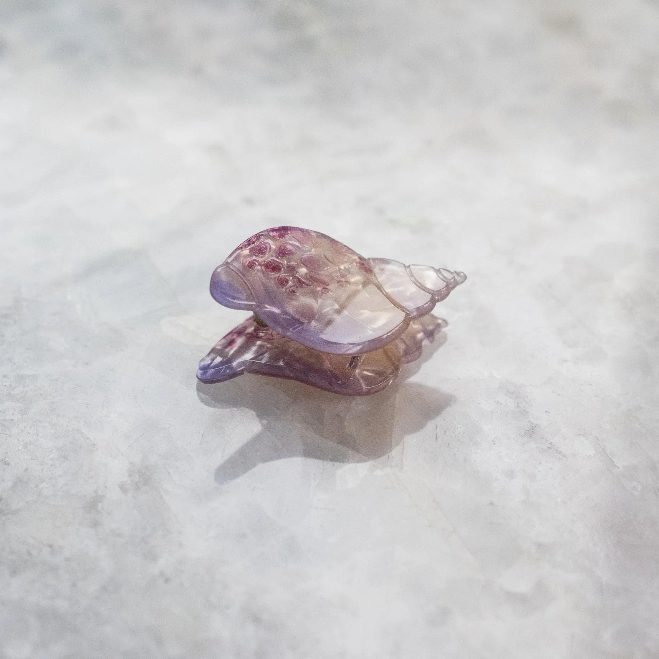 Mini seashell clip