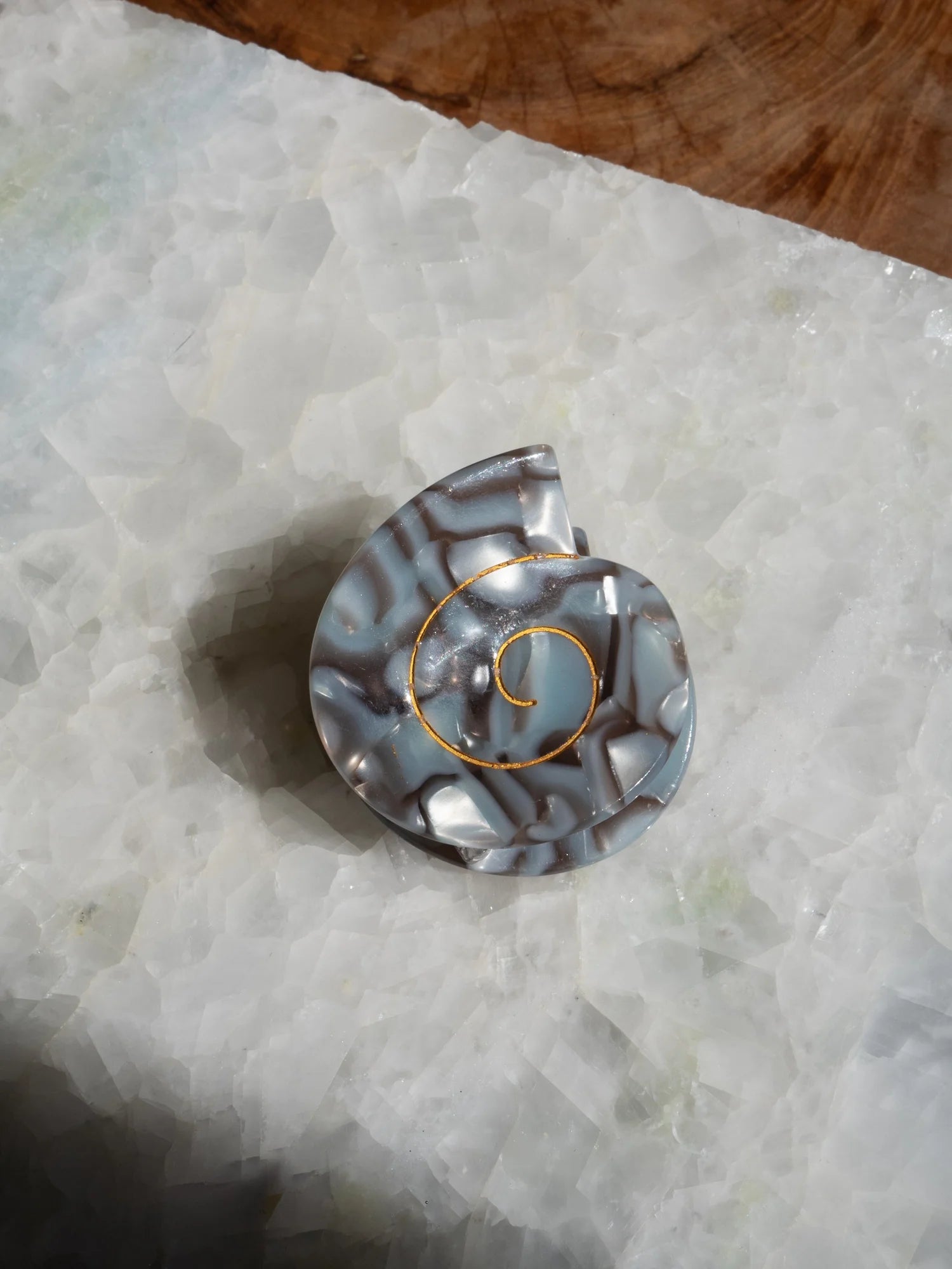 Spiral Shell hair clip