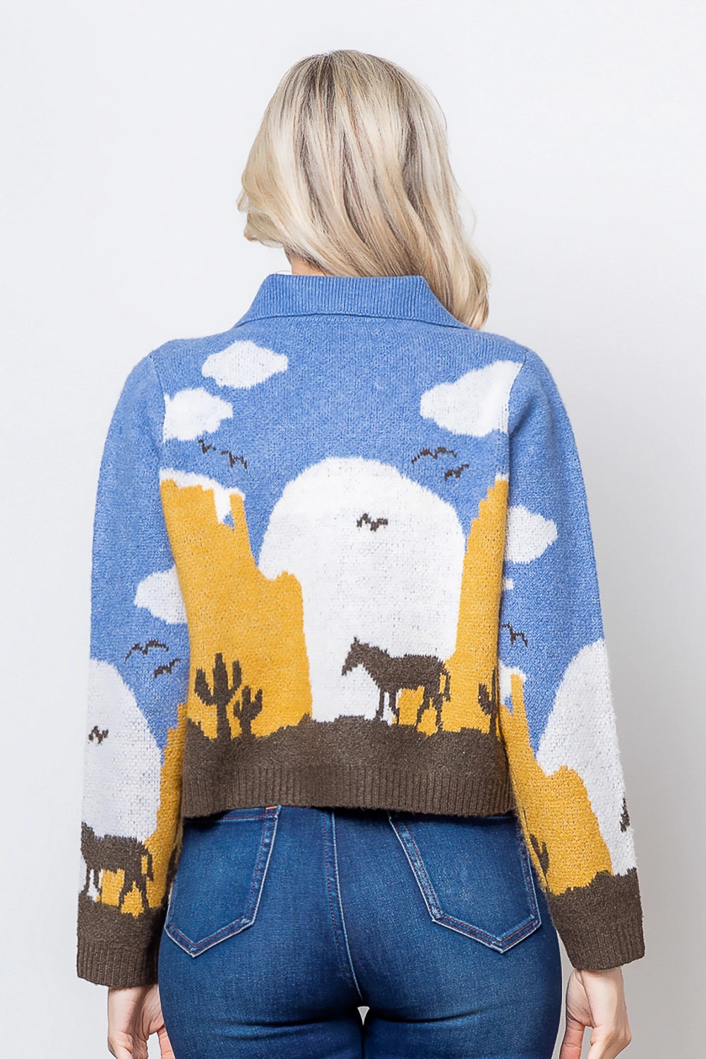 Western Knit Sweater