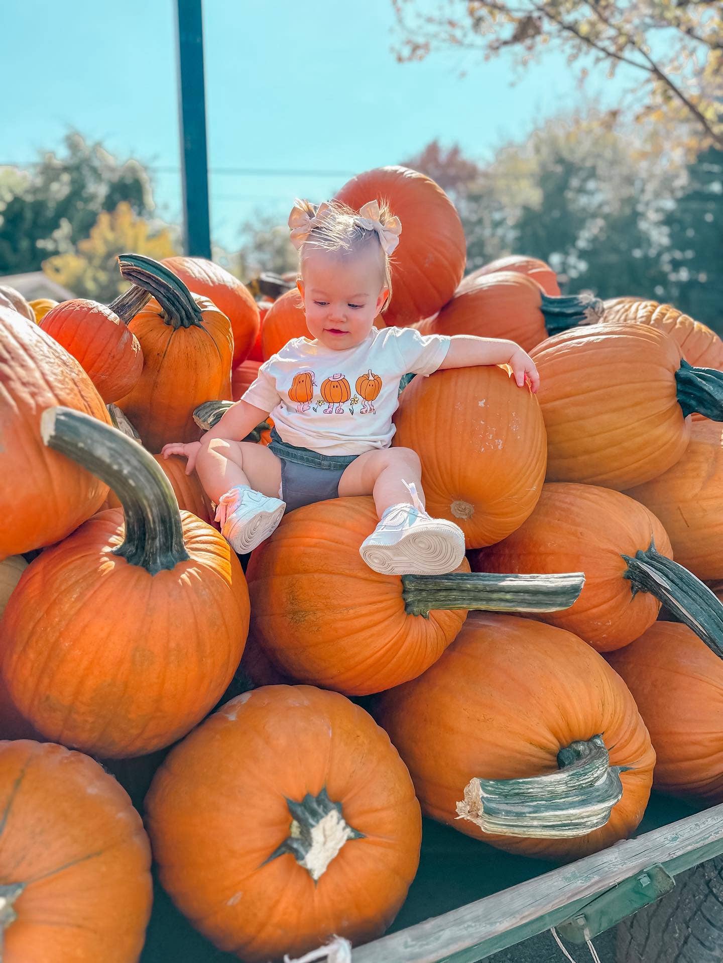 Pumpkin Gals Graphic Tee
