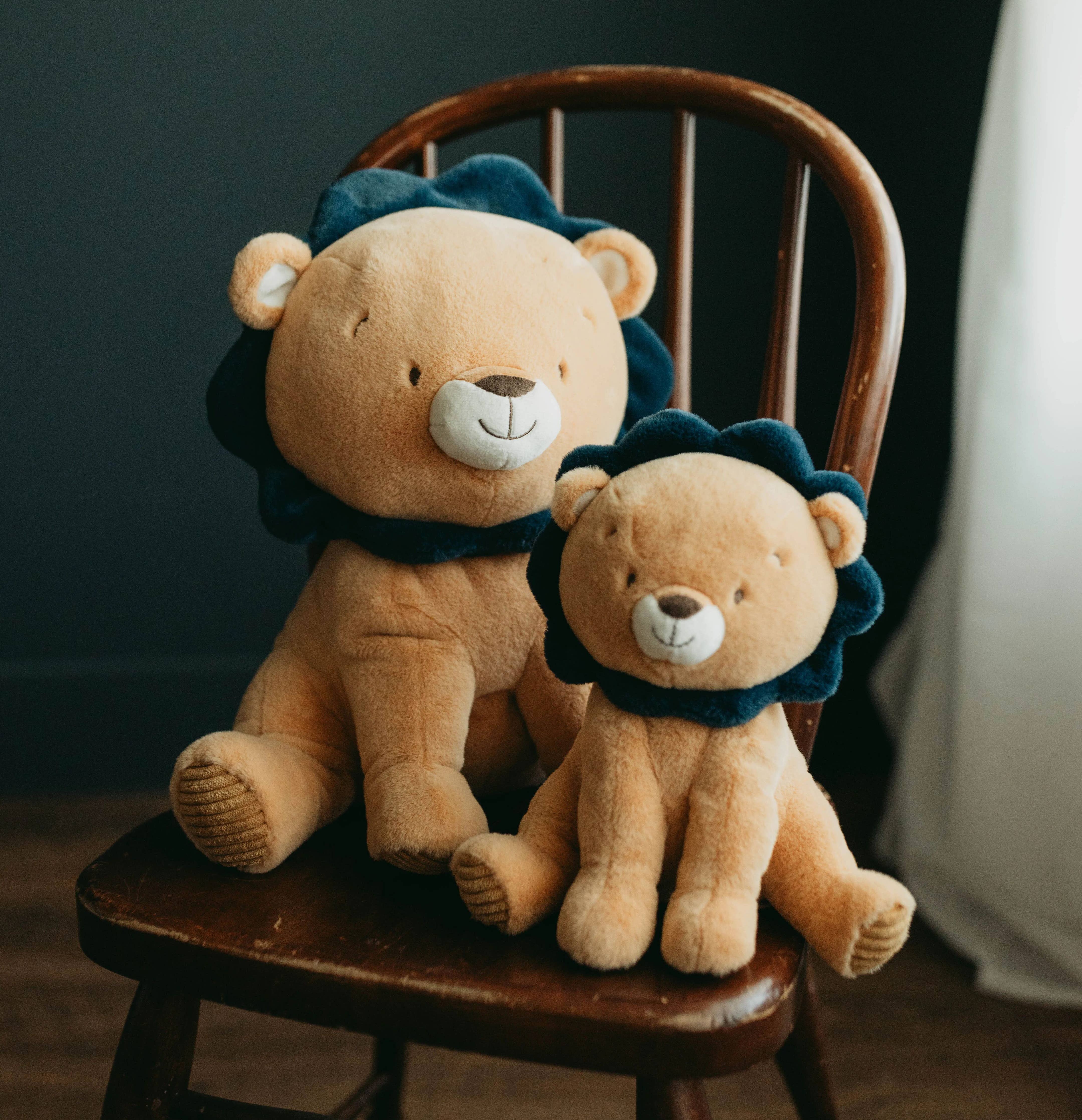 Little Lenny the Lion