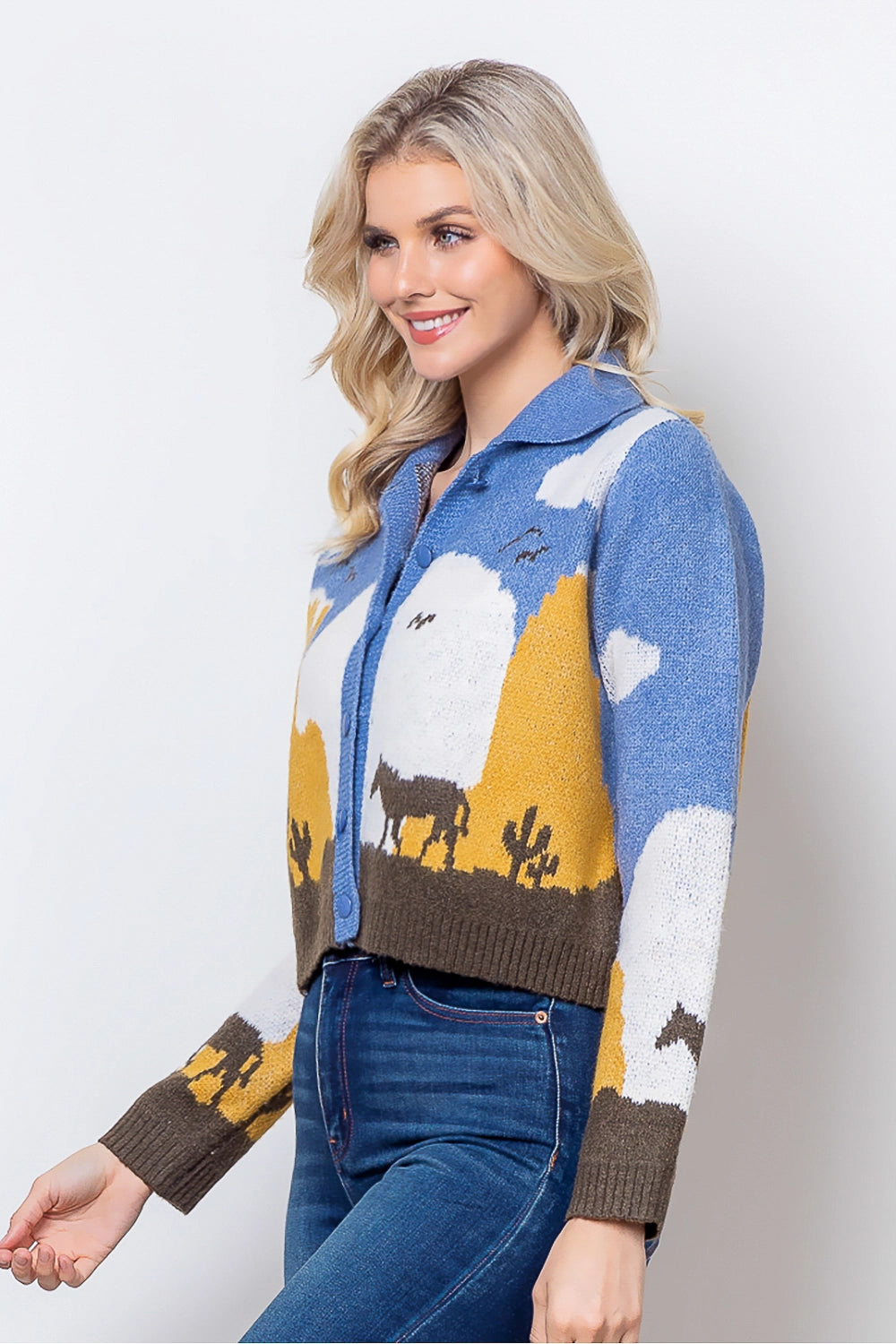 Western Knit Sweater