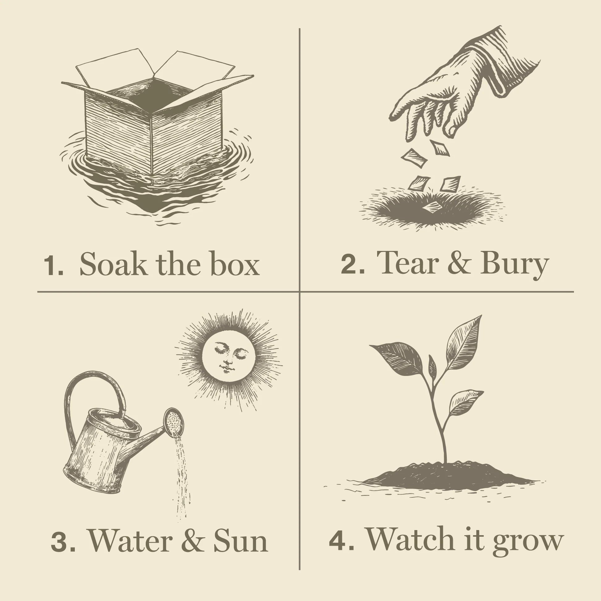 Sweet Sunflower Plant the Box Bar Soap