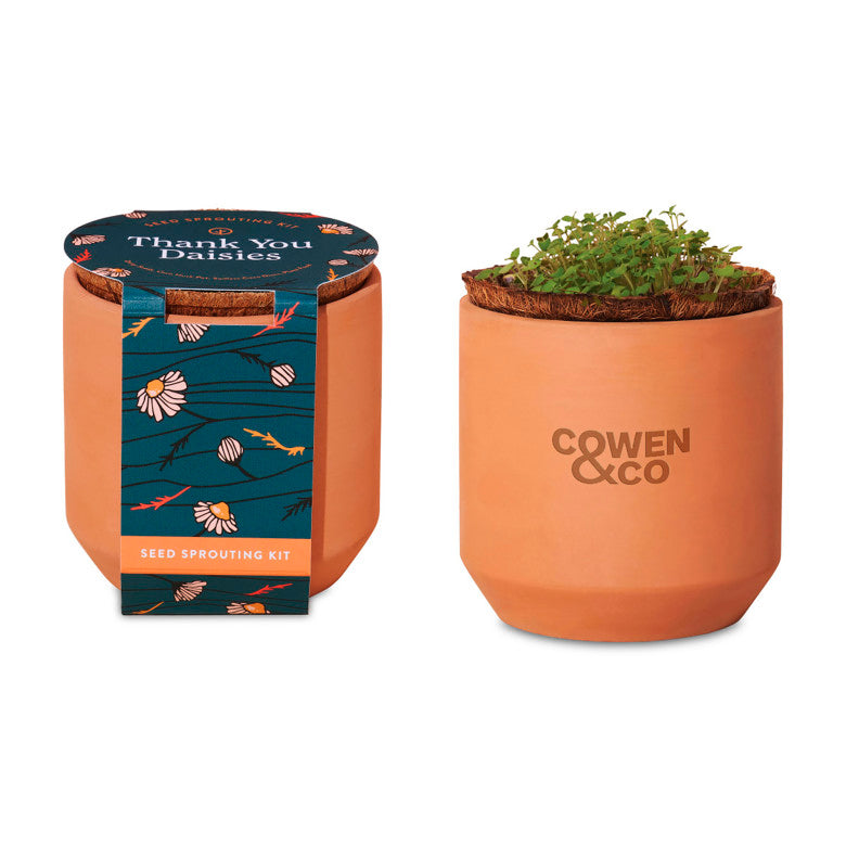 Tiny Terracotta Grow Kit